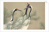 Tsuru by Anonymous