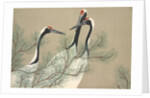 Tsuru by Anonymous