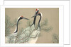 Tsuru by Anonymous