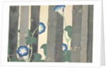 Asagao by Anonymous