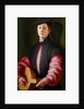 Portrait of a Luteplayer, ca 1528-1529 by Anonymous