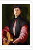 Portrait of a Luteplayer, ca 1528-1529 by Anonymous