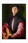 Portrait of a Luteplayer, ca 1528-1529 by Anonymous