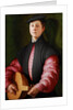 Portrait of a Luteplayer, ca 1528-1529 by Anonymous