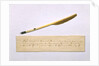 Quill pen with which Nikolai Gogol worked on the second part of the Dead Souls by Anonymous