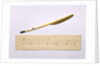 Quill pen with which Nikolai Gogol worked on the second part of the Dead Souls by Anonymous