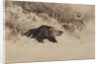 The Bear Hunt by Anonymous