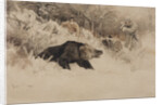 The Bear Hunt by Anonymous