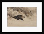 The Bear Hunt by Anonymous