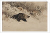 The Bear Hunt by Anonymous