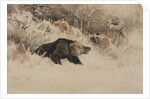 The Bear Hunt by Anonymous