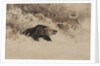 The Bear Hunt by Anonymous