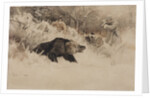 The Bear Hunt by Anonymous