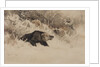 The Bear Hunt by Anonymous