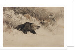 The Bear Hunt by Anonymous