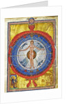 The Cosmic Spheres and Human Being. (Vision from Liber Divinorum Operum), ca 1220-1230 by Anonymous