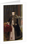 Archduchess Anna of Austria, daughter of Emperor Ferdinand I, 1556 by Anonymous