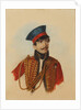 Yegor Ivanovich Shevich, 1838 by Anonymous