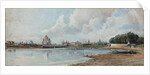 View of Moscow from the Neskuchny Garden, ca 1880-1885 by Anonymous