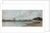 View of Moscow from the Neskuchny Garden, ca 1880-1885 by Anonymous