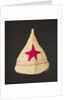 Budyonovka - Headgear of the Red Army, 1922 by Anonymous