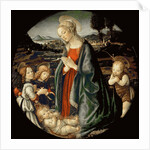 The Virgin Adoring the Christ Child with Saint John the Baptist and Two Angels, Between 1475 and 149 by Anonymous