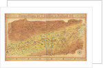 Operation Barbarossa. The route of the 7th Infantry Division from Warsaw to Moscow, 1942 by Anonymous