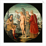 The Judgement of Paris, c. 1500 by Anonymous