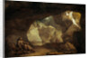 Saint Francis receiving the Stigmata, 1640s by Anonymous