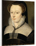 Diane de France, Duchess of Angoulême, 1568 by Anonymous