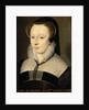 Diane de France, Duchess of Angoulême, 1568 by Anonymous