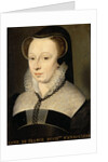 Diane de France, Duchess of Angoulême, 1568 by Anonymous