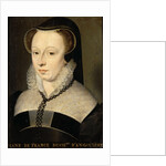 Diane de France, Duchess of Angoulême, 1568 by Anonymous