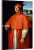 Portrait of Cardinal Alessandro Farnese, 1509-1511 by Anonymous
