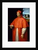 Portrait of Cardinal Alessandro Farnese, 1509-1511 by Anonymous
