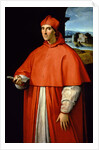 Portrait of Cardinal Alessandro Farnese, 1509-1511 by Anonymous