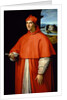 Portrait of Cardinal Alessandro Farnese, 1509-1511 by Anonymous