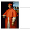 Portrait of Cardinal Alessandro Farnese, 1509-1511 by Anonymous