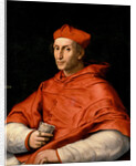 Portrait of Cardinal Bibbiena, c. 1516 by Anonymous