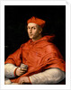 Portrait of Cardinal Bibbiena, c. 1516 by Anonymous