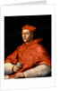 Portrait of Cardinal Bibbiena, c. 1516 by Anonymous