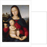 The virgin Mary is reading a book (The Solly Madonna), c. 1502-1503 by Anonymous