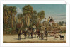 The Cotton Wagon, 1880s by Anonymous