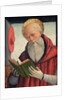 Saint Jerome reading, c. 1490 by Anonymous