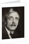Portrait of Paul Valéry, c. 1925 by Anonymous