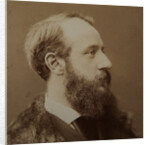 Portrait of Pierre-Jules Hetzel, c. 1875 by Anonymous