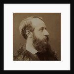 Portrait of Pierre-Jules Hetzel, c. 1875 by Anonymous