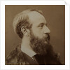 Portrait of Pierre-Jules Hetzel, c. 1875 by Anonymous
