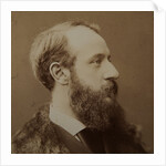 Portrait of Pierre-Jules Hetzel, c. 1875 by Anonymous