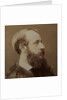 Portrait of Pierre-Jules Hetzel, c. 1875 by Anonymous